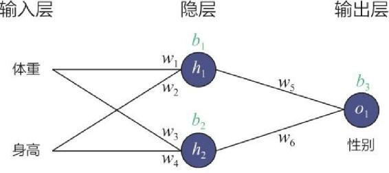 图3-5 神经网络结构及其权重示意图